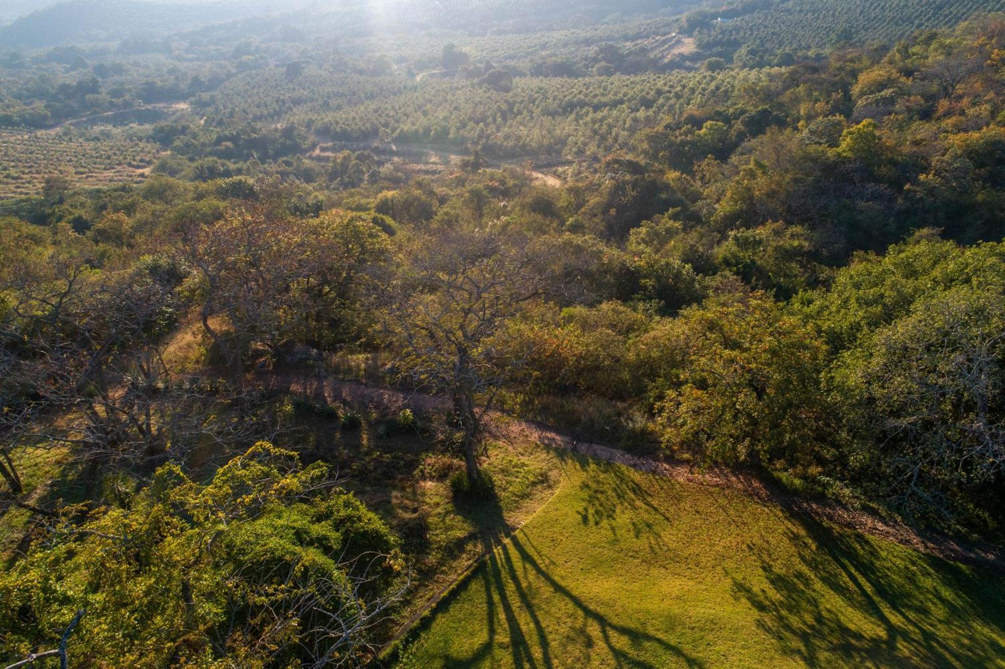 Chestnut Country Lodge Hazyview Buitenkant foto